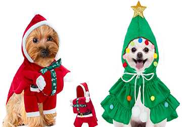 The Best Seasonal Outfits For Your Pet